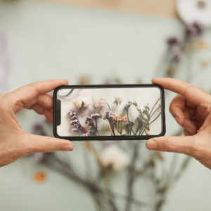 La Aplicación Revolucionaria para Identificar Plantas