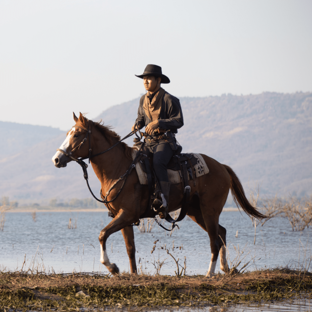 Explorando la Era Dorada del Cine y la Televisión Western