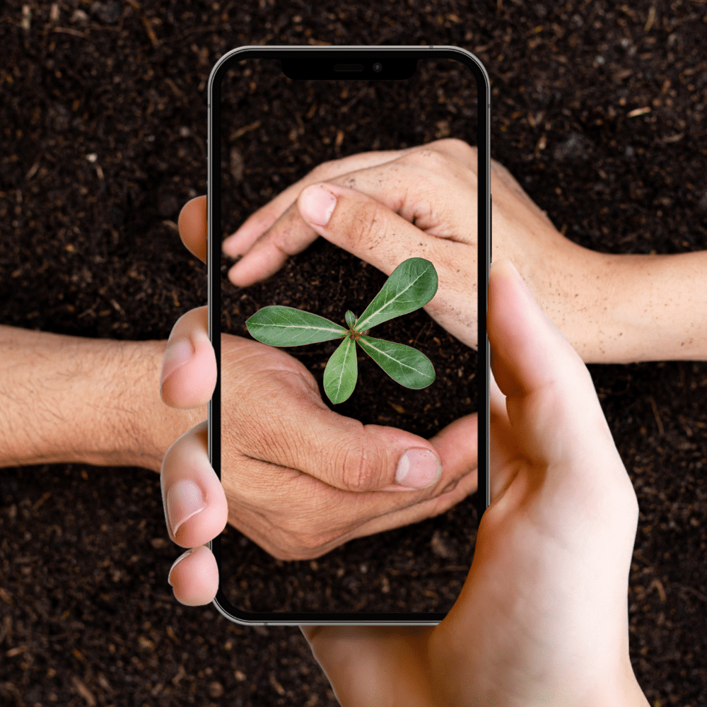 La App que Revoluciona la Identificación de Plantas