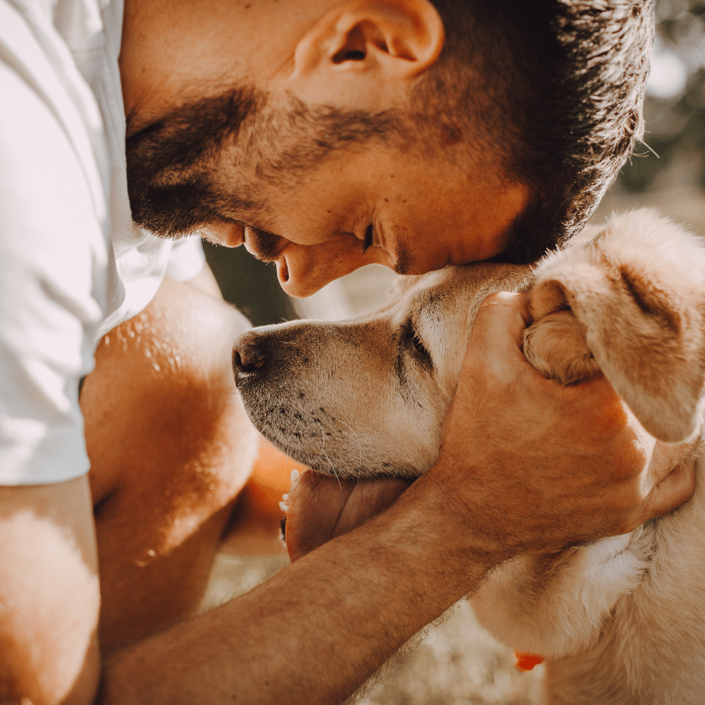 Descubre la Raza de tu Perro con Facilidad