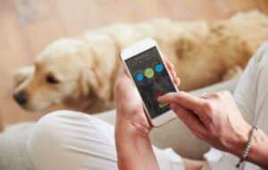 ¡Adiestra a tu Perro con Estas Apps!