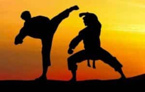 Descubre los Mejores Apps para Aprender Artes Marciales