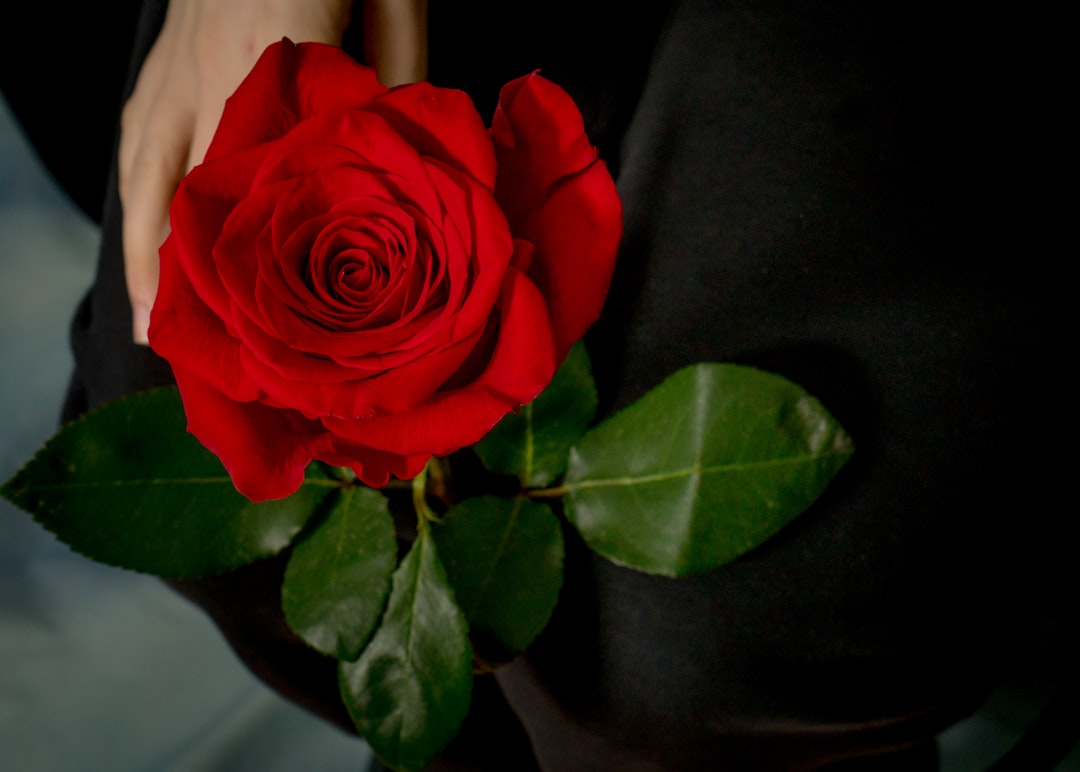 Tienes un admirador secreto: descubre a tu alma gemela